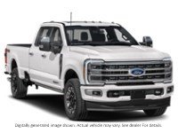 2024 Ford Super Duty F-350 Drw Platinum 4WD Crew Cab 8' Box Exterior Shot 8