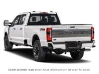 2024 Ford Super Duty F-350 Drw Platinum 4WD Crew Cab 8' Box Exterior Shot 9