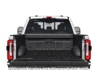 2024 Ford Super Duty F-350 Drw Platinum 4WD Crew Cab 8' Box Exterior Shot 4