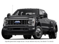 2024 Ford Super Duty F-450 Drw Platinum 4WD Crew Cab 8' Box Exterior Shot 1