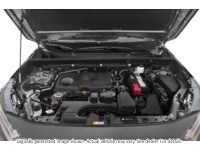 2023 Toyota Rav4 LE AWD Exterior Shot 3