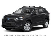 2023 Toyota Rav4 Hybrid Hybrid XLE AWD Exterior Shot 1