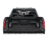2024 Ford F-150 Raptor 4WD Supercrew 5.5' Box Exterior Shot 4