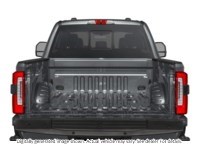 2024 Ford F-250 Platinum 4WD Crew Cab 6.75' Box Exterior Shot 4