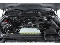 2026 Ford F-150 XLT | 4X4 | 5.0L | 303A | Blk Pk Pls | Roof | Bed Exterior Shot 3