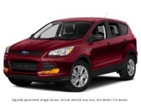 2013 Ford Escape 4WD 4Dr Sel Ruby Red Clearcoat  Shot 31