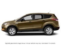2014 Ford Escape FWD 4Dr SE Karat Gold  Shot 11