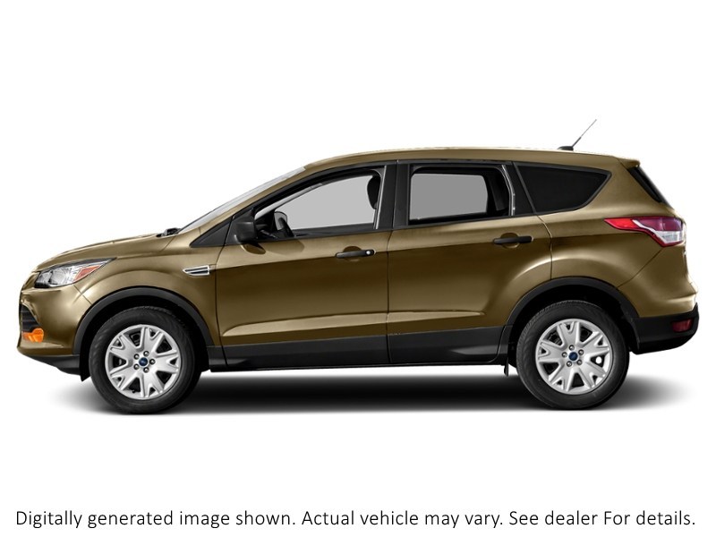 2014 Ford Escape FWD 4Dr SE Karat Gold  Shot 11