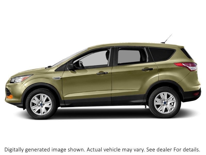 2014 Ford Escape FWD 4Dr SE Ginger Ale  Shot 29