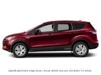 2013 Ford Escape 4WD 4Dr Sel Ruby Red Clearcoat  Shot 35