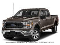 2023 Ford F-150 XLT 4WD Supercrew 5.5' Box Stone Grey Metallic  Shot 19