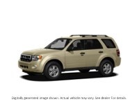 2011 Ford Escape FWD 4Dr I4 Auto XLT Gold Leaf Metallic  Shot 6
