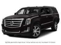 2015 Cadillac Escalade Esv 4WD 4Dr Platinum Black Raven  Shot 4