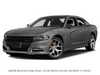 2017 Dodge Charger 4Dr Sdn R/T Daytona Edition RWD Destroyer Grey  Shot 1
