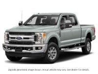 2019 Ford Super Duty F-250 Srw XLT 4WD Crew Cab 6.75' Box Silver Spruce  Shot 49