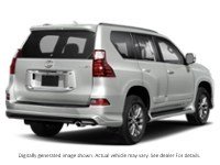 2019 Lexus Gx 460 GX 460 Auto Starfire Pearl  Shot 6