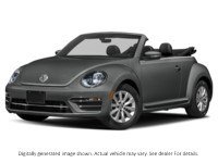 2018 Volkswagen Beetle Trendline Auto Platinum Grey Metallic w/Black Roof  Shot 19
