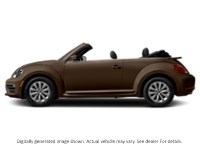 2018 Volkswagen Beetle Trendline Auto Dark Bronze Metallic w/Black Roof  Shot 17
