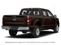 2020 Ford F-150 XLT 4WD Supercrew 5.5' Box