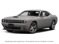 2020 Dodge Challenger R/T RWD Triple Nickel  Shot 41