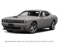 2020 Dodge Challenger R/T RWD Triple Nickel  Shot 38