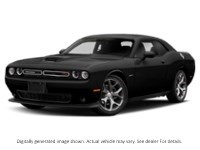 2020 Dodge Challenger R/T RWD Pitch Black  Shot 44