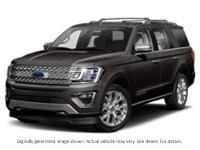 2020 Ford Expedition Platinum 4X4 Magnetic Metallic  Shot 1