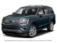 2020 Ford Expedition Platinum 4X4 Blue Metallic  Shot 14