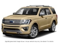 2020 Ford Expedition Platinum 4X4 Desert Gold Metallic  Shot 23
