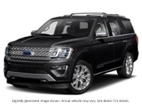 2020 Ford Expedition Platinum 4X4 Agate Black  Shot 35