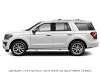2020 Ford Expedition Platinum 4X4 Star White Platinum Metallic Tri-Coat  Shot 4