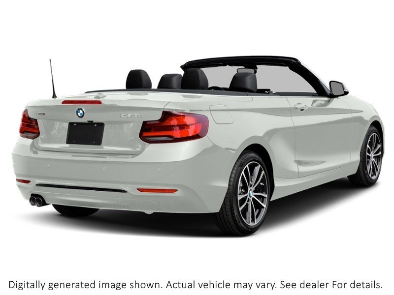 2021 Bmw 230 230I Xdrive Cabriolet Alpine White  Shot 6