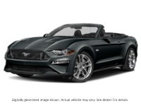 2022 Ford Mustang GT Premium Convertible Shadow Black  Shot 13