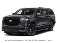 2024 Cadillac Escalade Esv 4WD 4Dr Sport Platinum Galactic Grey Metallic  Shot 13