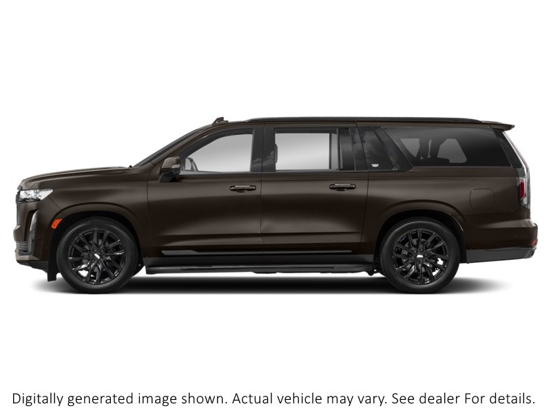 2024 Cadillac Escalade Esv 4WD 4Dr Sport Platinum Black Raven  Shot 5