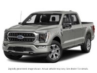 2023 Ford F-150 Platinum 4WD Supercrew 5.5' Box Iconic Silver Metallic  Shot 1