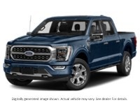 2023 Ford F-150 Platinum 4WD Supercrew 5.5' Box Azure Grey Metallic Tri-Coat  Shot 33