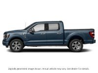 2023 Ford F-150 Platinum 4WD Supercrew 5.5' Box Antimatter Blue Metallic  Shot 21