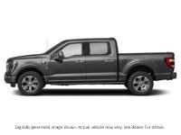 2023 Ford F-150 Platinum 4WD Supercrew 5.5' Box Agate Black Metallic  Shot 3