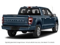 2023 Ford F-150 Platinum 4WD Supercrew 5.5' Box Antimatter Blue Metallic  Shot 20