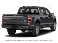 2023 Ford F-150 Platinum 4WD Supercrew 5.5' Box