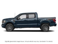 2022 Ford F-150 Tremor | 4X4 | 3.5L | Roof | Pwr Tlgt | Leather Antimatter Blue Metallic  Shot 5
