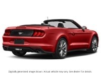 2022 Ford Mustang Ecoboost Convertible Race Red  Shot 52