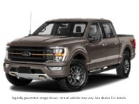 2023 Ford F-150 Tremor 4WD Supercrew 5.5' Box Stone Grey Metallic  Shot 13