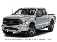 2023 Ford F-150 Tremor 4WD Supercrew 5.5' Box Iconic Silver Metallic  Shot 16