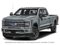 2024 Ford Super Duty F-350 Drw Platinum 4WD Crew Cab 8' Box Carbonized Grey Metallic  Shot 31