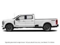 2024 Ford Super Duty F-350 Drw Platinum 4WD Crew Cab 8' Box Star White Metallic Tri-Coat  Shot 3