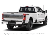2024 Ford Super Duty F-350 Drw Platinum 4WD Crew Cab 8' Box Star White Metallic Tri-Coat  Shot 6