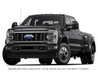 2024 Ford Super Duty F-450 Drw Platinum 4WD Crew Cab 8' Box Agate Black Metallic  Shot 1