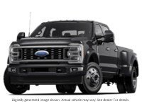 2024 Ford Super Duty F-450 Drw Platinum 4WD Crew Cab 8' Box Agate Black Metallic  Shot 1